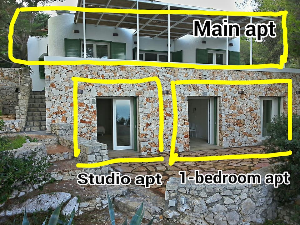 Dream Suite — Photo 3