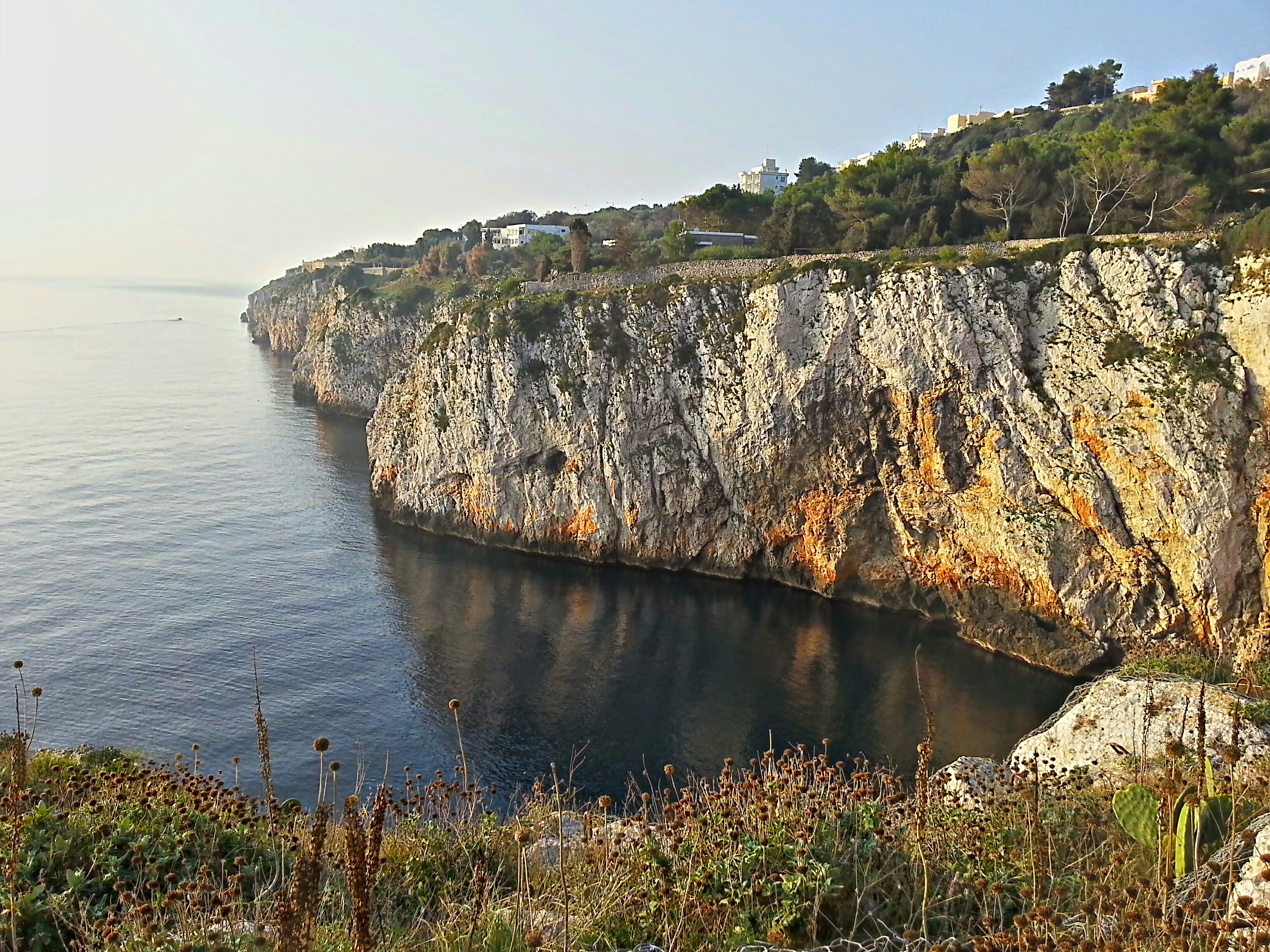 The cliff of the villa