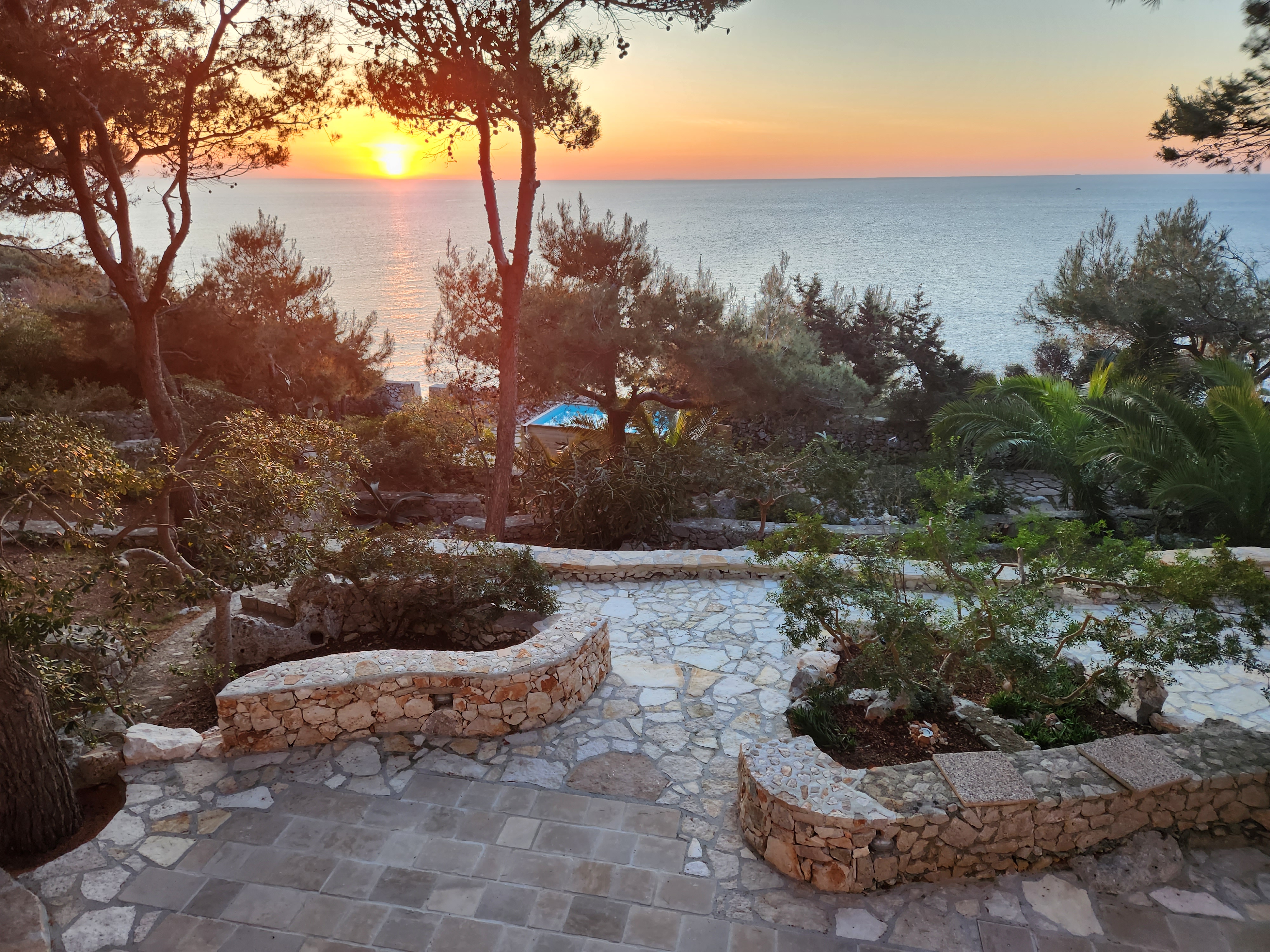 The sunrise on the garden